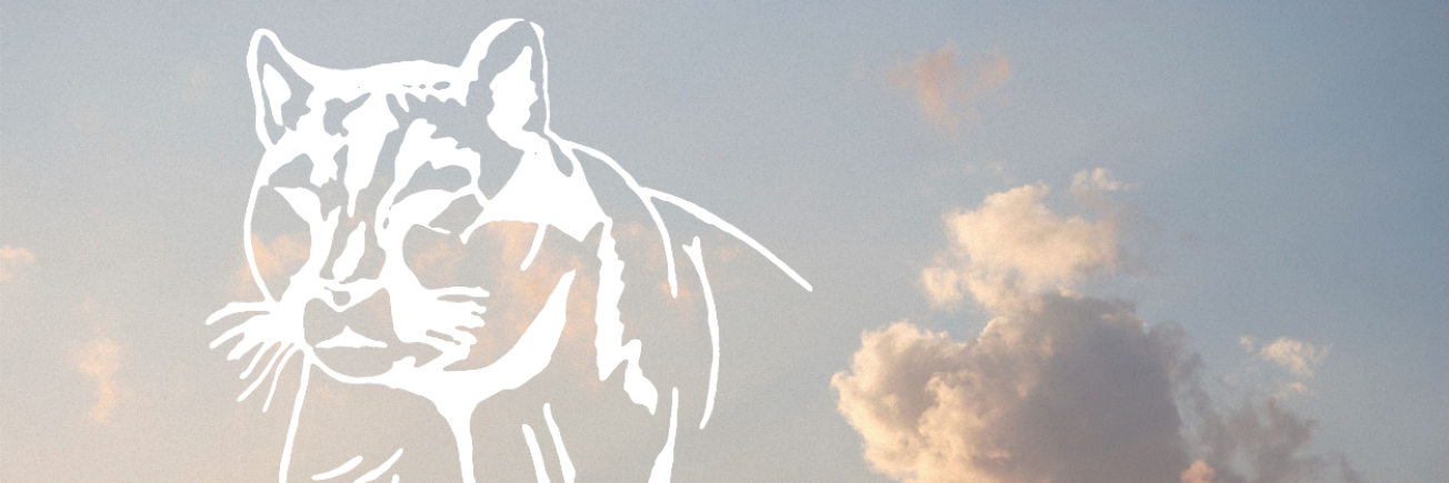 couguariuga's profile banner image