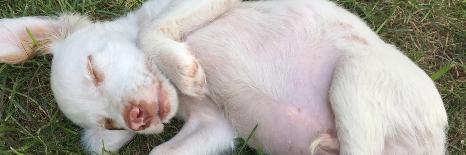 AlvinileBüş #yasayıgeriçek banner