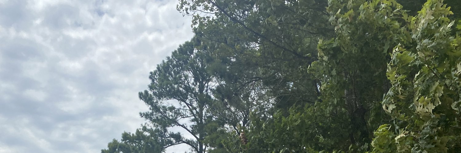 Jaackyleon's profile banner image