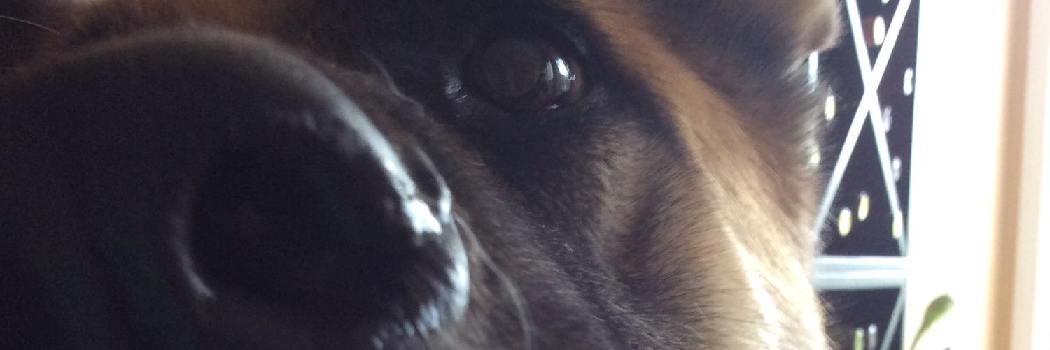 Tracie2pointOh's profile banner image