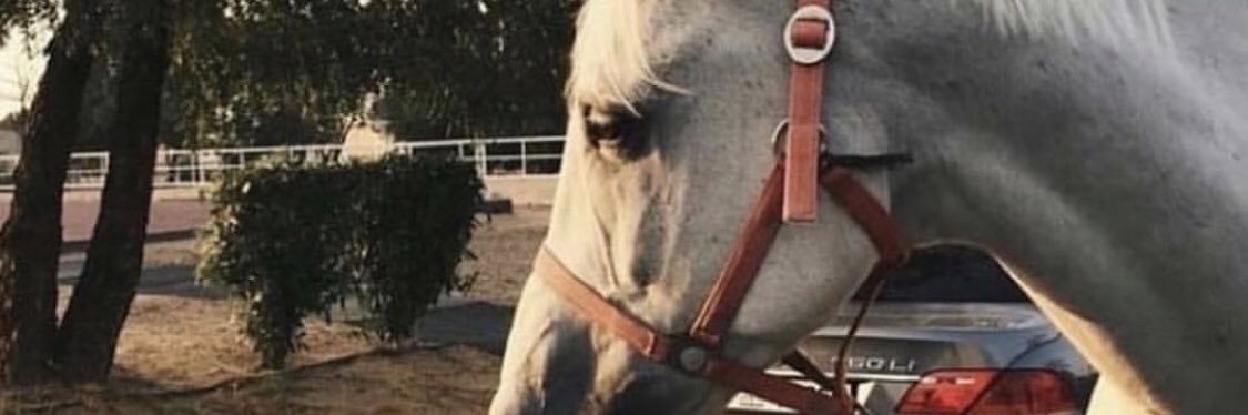 Abdulaziz..Al🗡️🇸🇦 banner