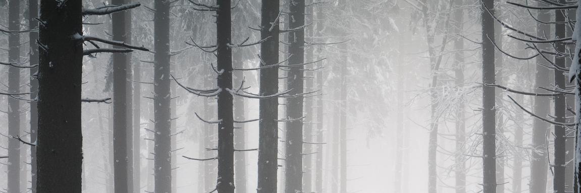 N_kislorod's profile banner image