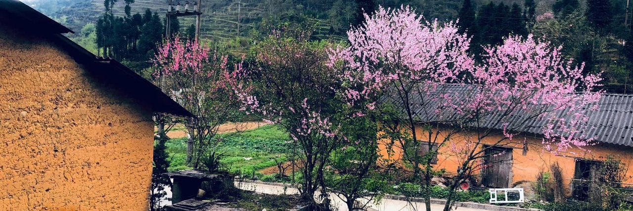 Đình Diệu Nguyễn banner