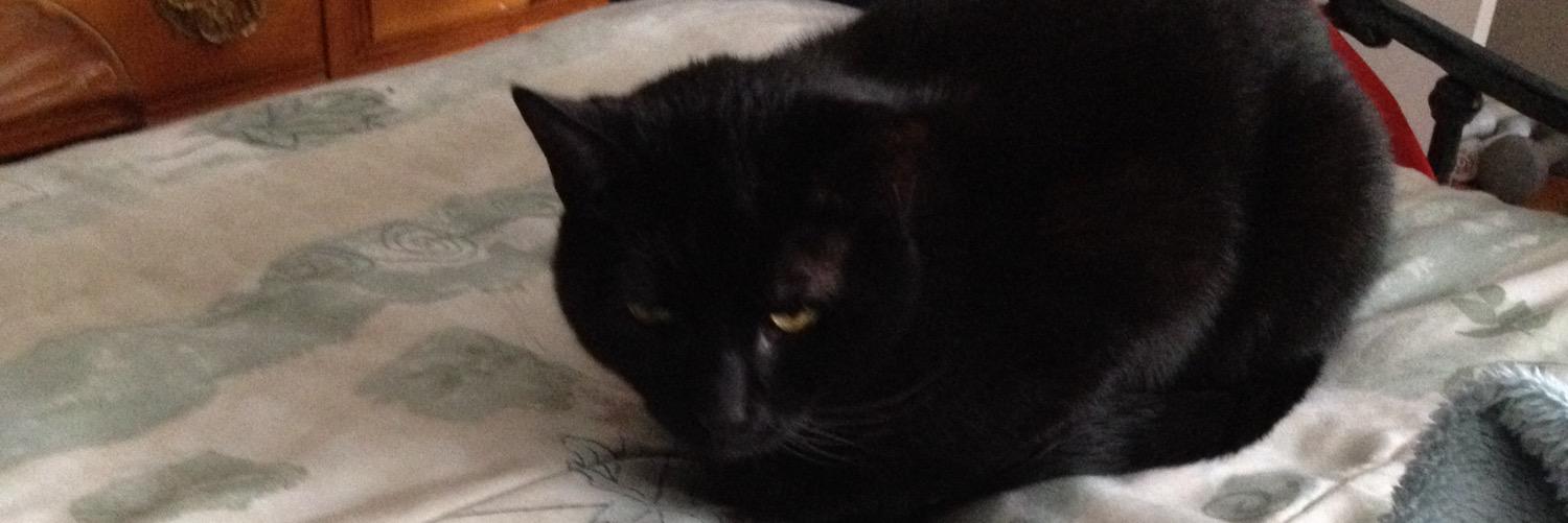eileentrask's profile banner image