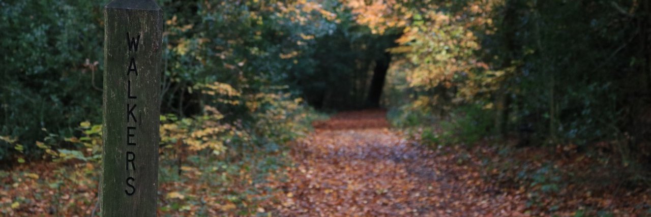 NaarInAutumn's profile banner image