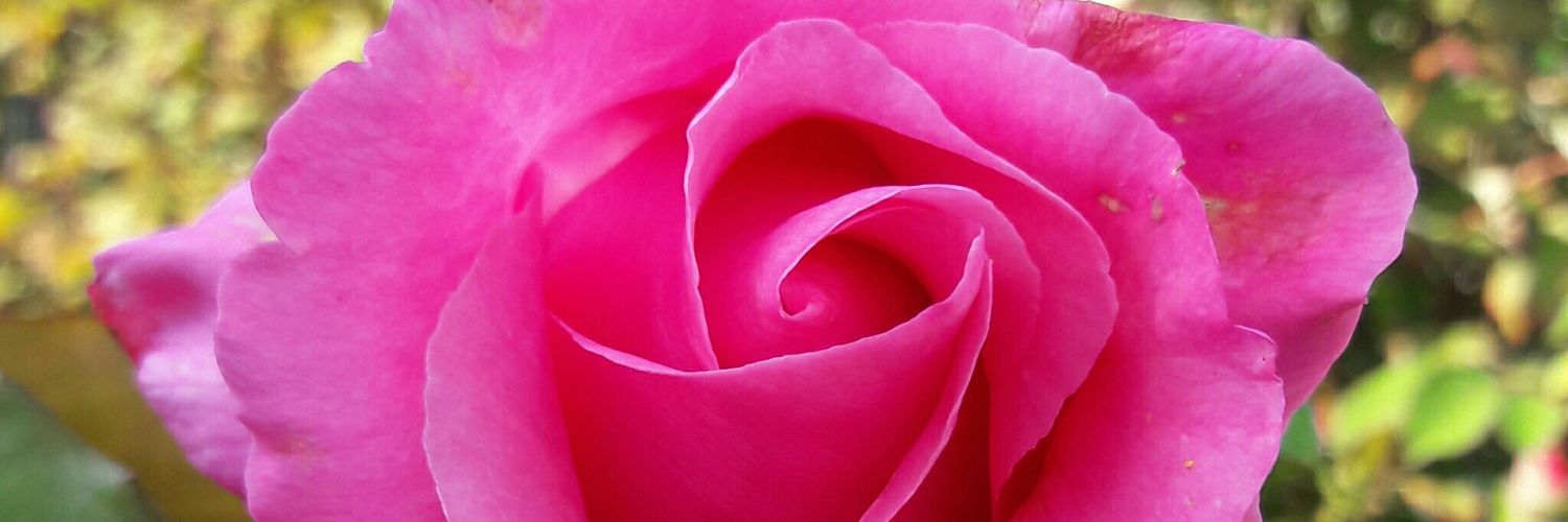 SusanDa99723710's profile banner image
