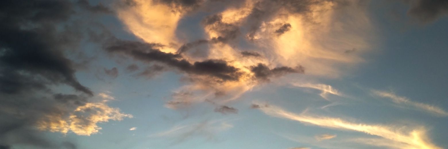 MEJ0626's profile banner image