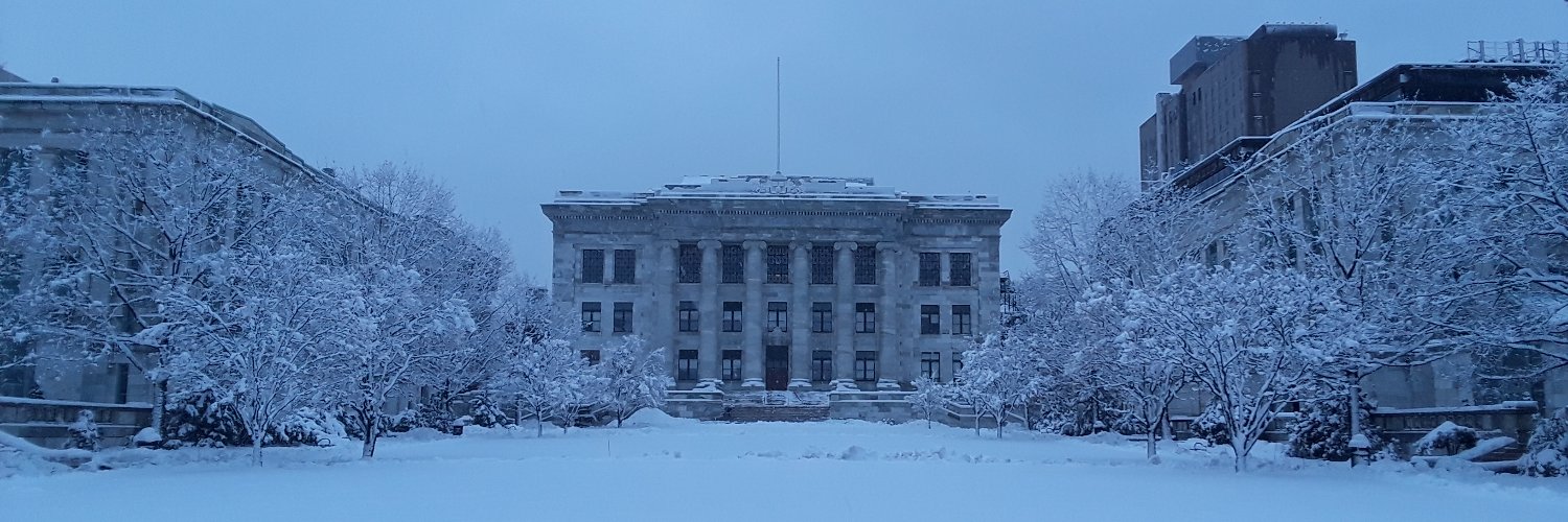 Alexander Sousa banner