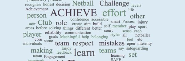 NetballLisa Profile Banner