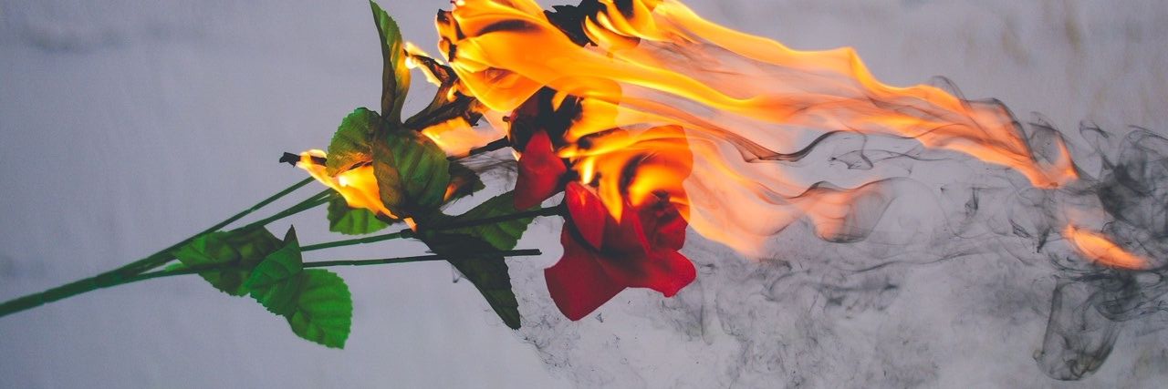 sandrajane_'s profile banner image
