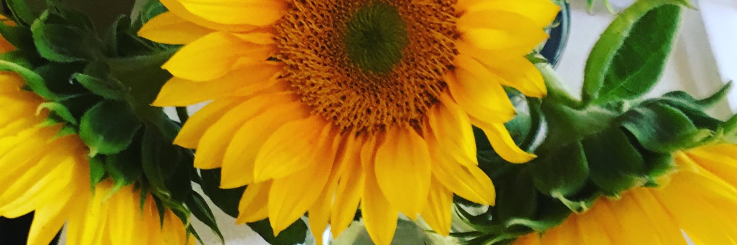 cadoomer's profile banner image