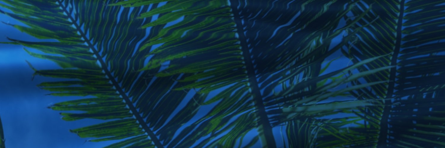 Ali banner