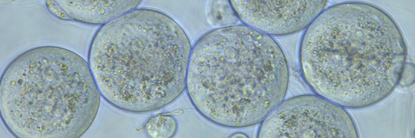 bianchi_enrica Profile Banner