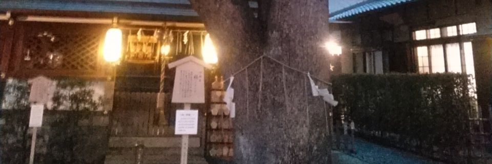 chese_dung's profile banner image