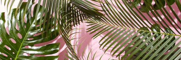 MsMarieDotCom Profile Banner