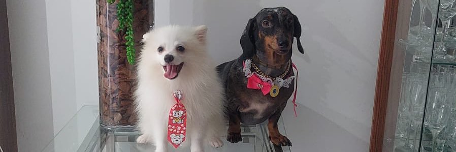 kitajhess's profile banner image