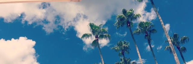 whatstanleysays's profile banner image