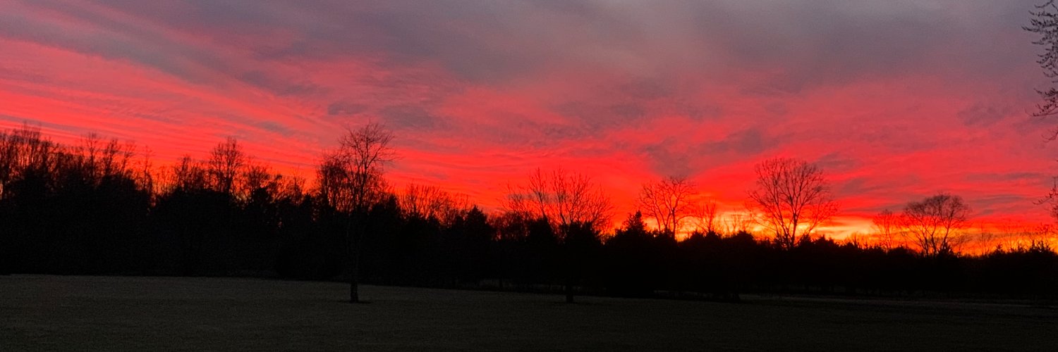 Hoosier4Liberty banner