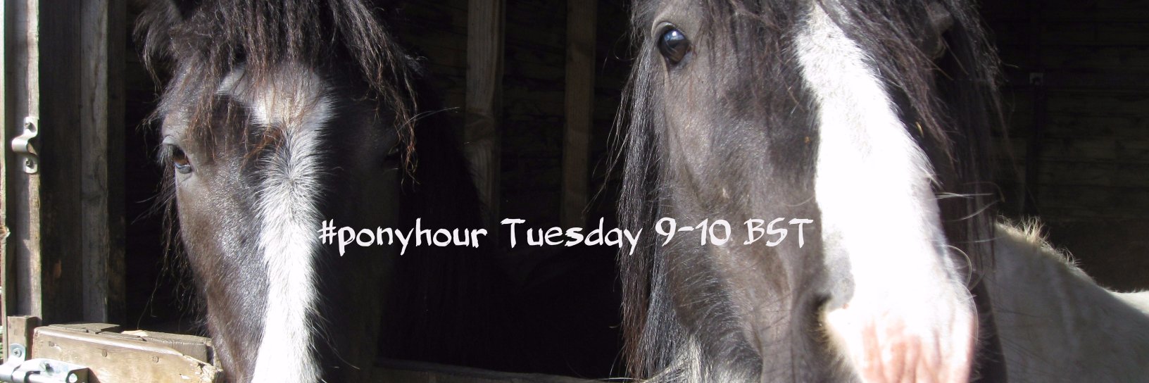 #ponyhour banner