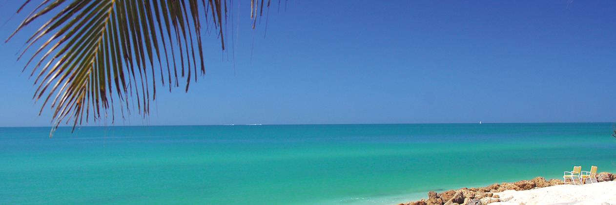 MSCVacationRent's profile banner image