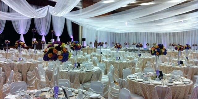 Début Event Design banner