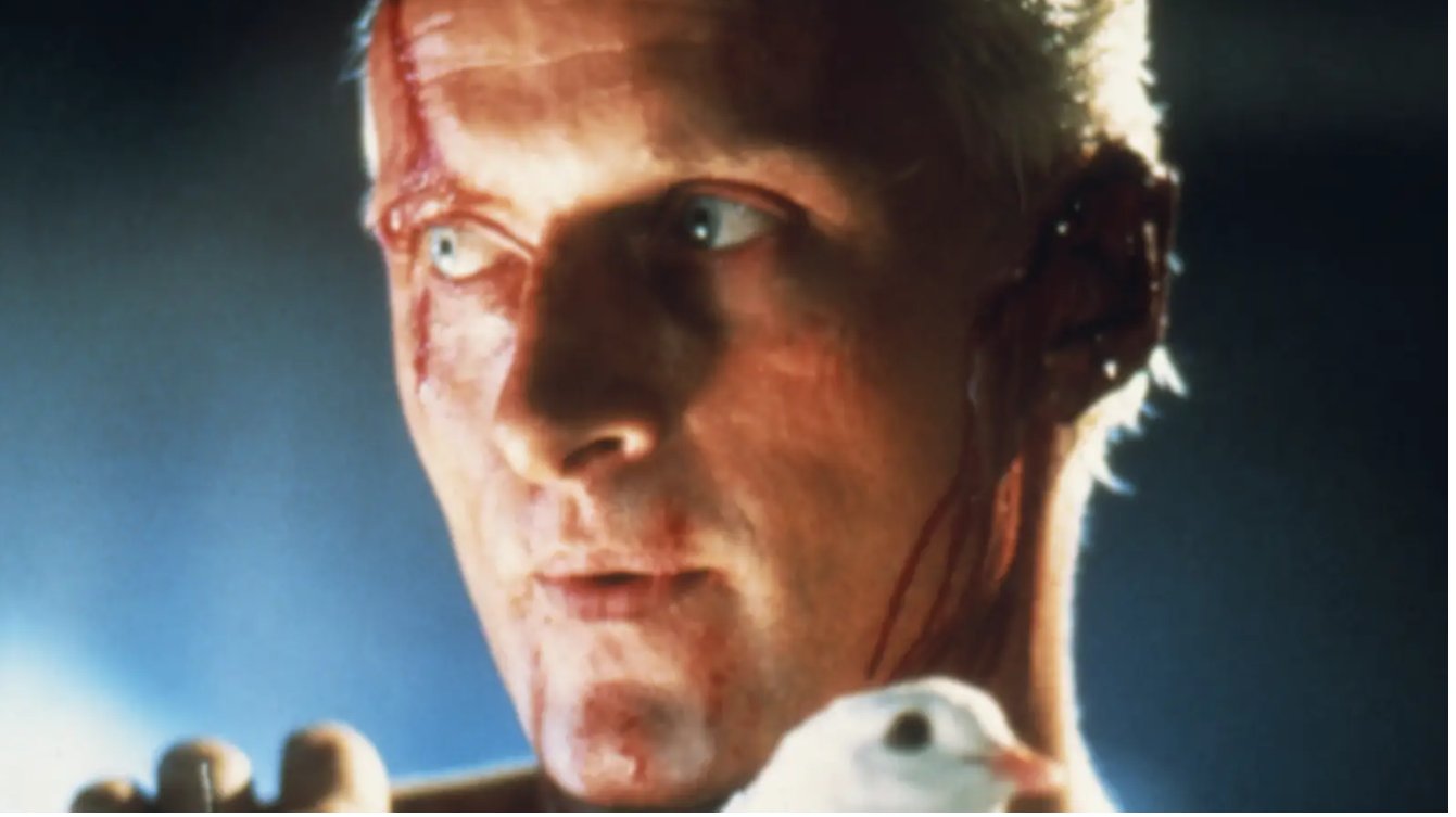 Colleja sangrante banner