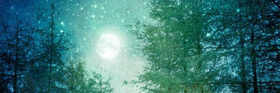 pegasus2131's profile banner image