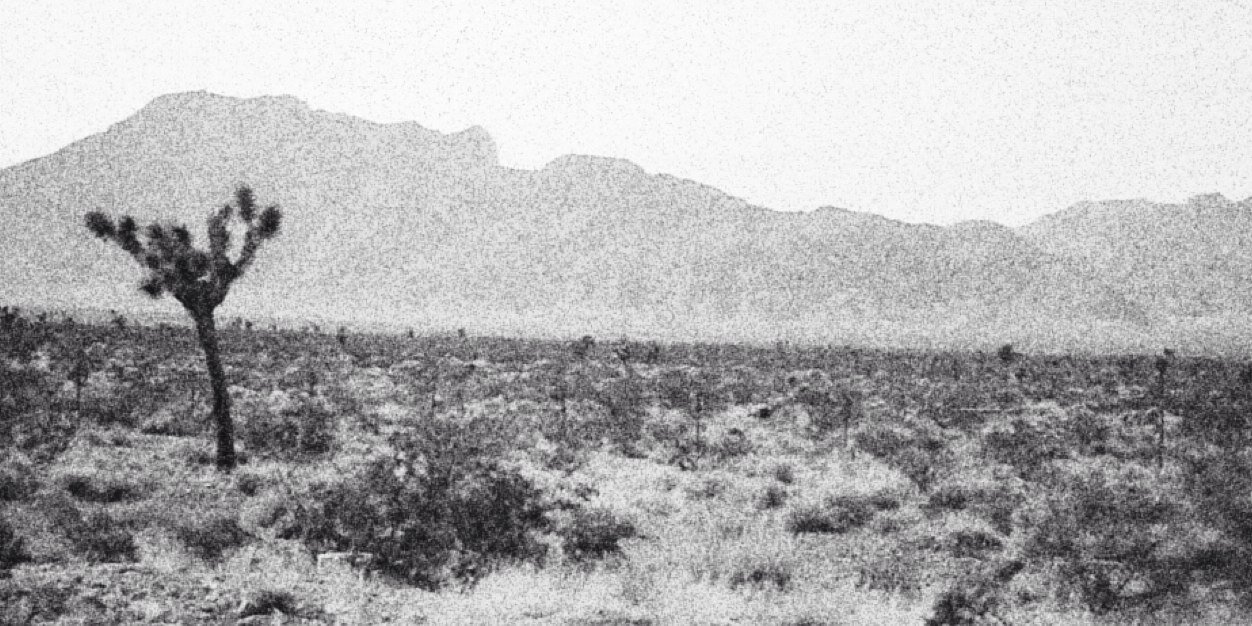 Katie Hilton 🇺🇸🇺🇦🌻 banner