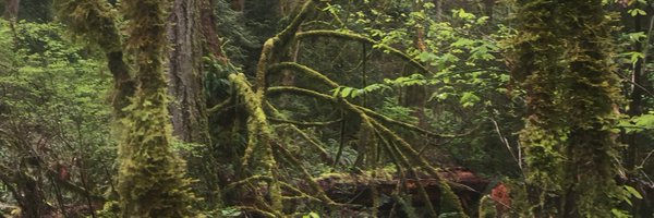 ParrishLiz Profile Banner