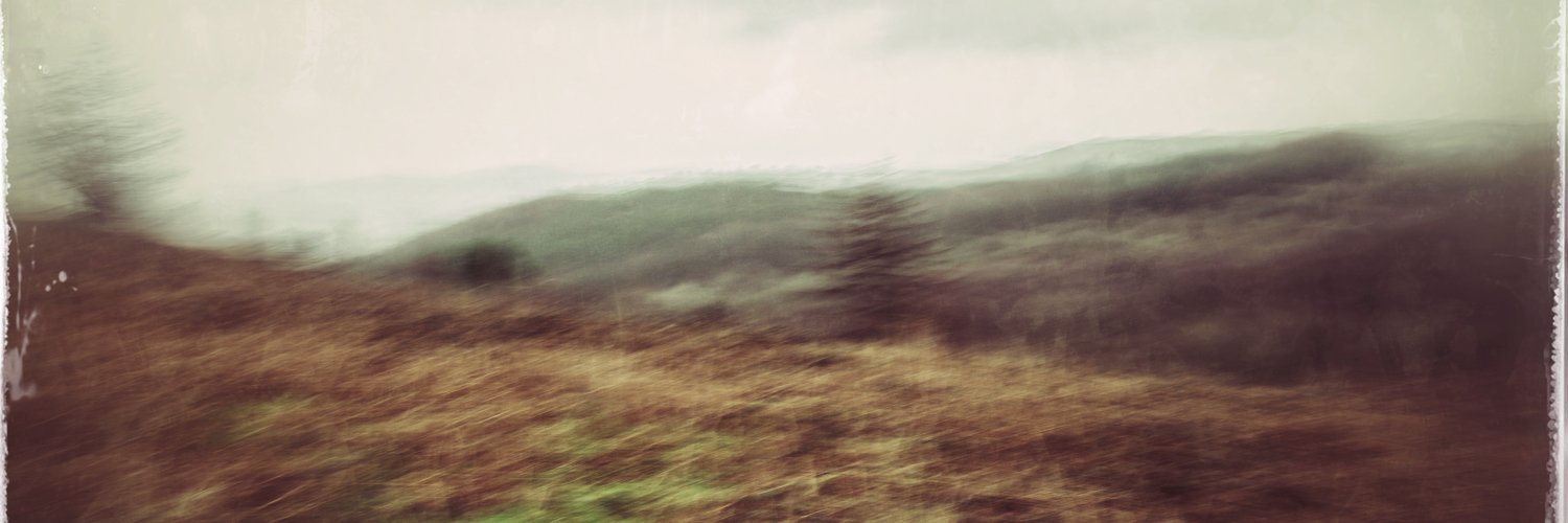 zeneasy's profile banner image