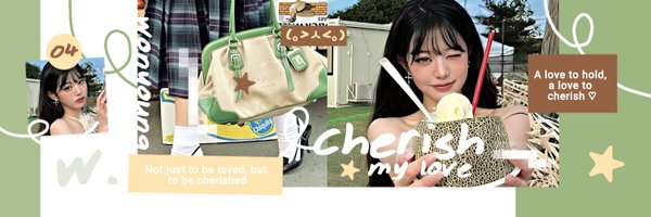 Acrctic Profile Banner