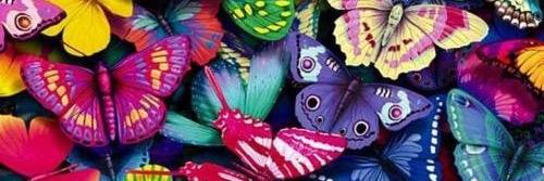 phanie_H's profile banner image