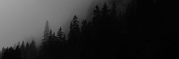 Libe banner