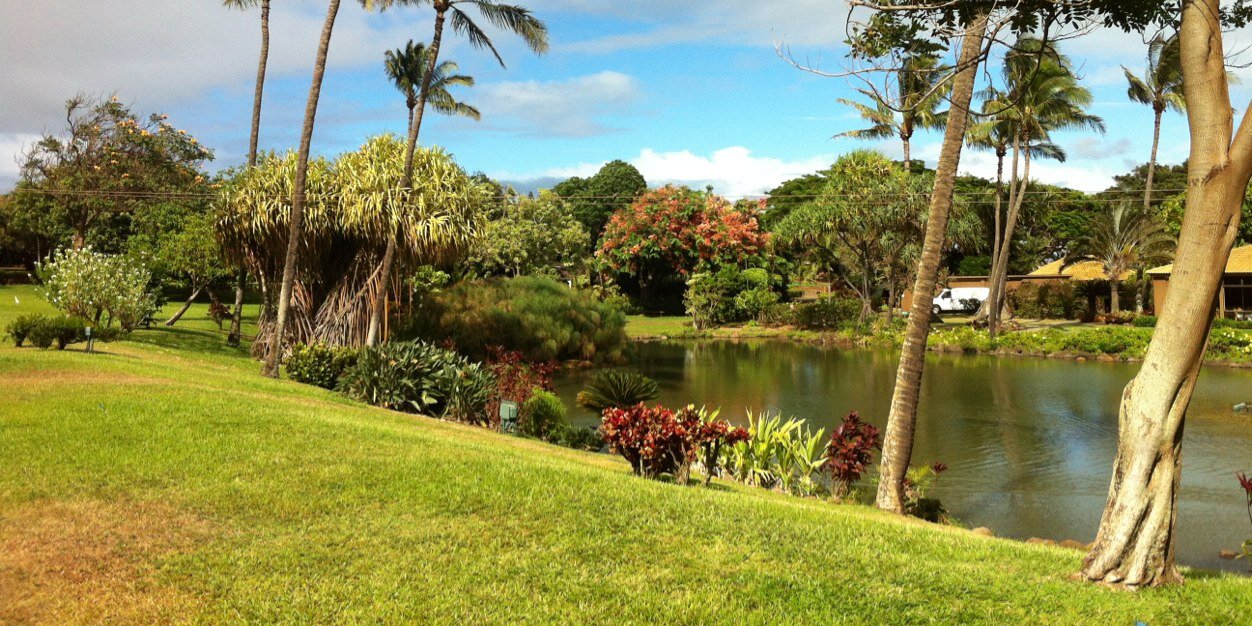 Steven Lawrence banner