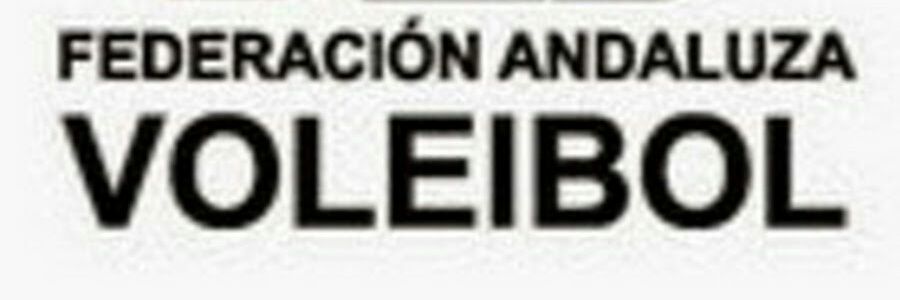 DAVb banner