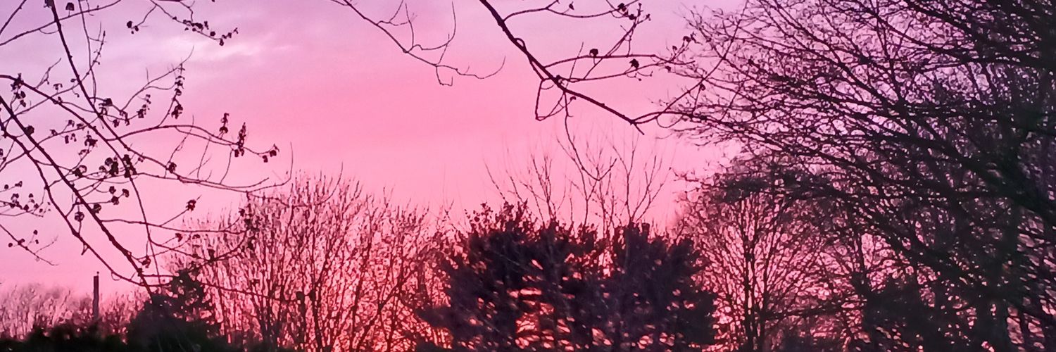 RobertFerringer's profile banner image
