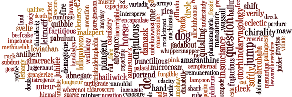 quadquan Profile Banner