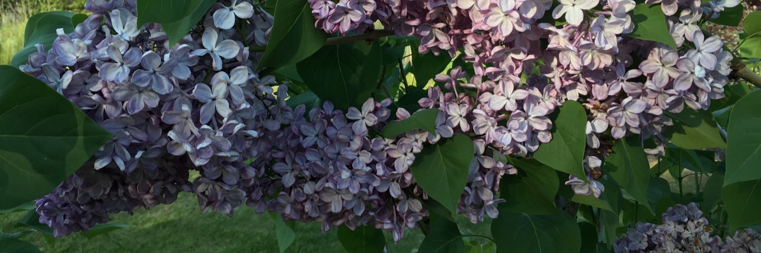 igotbluetoo's profile banner image