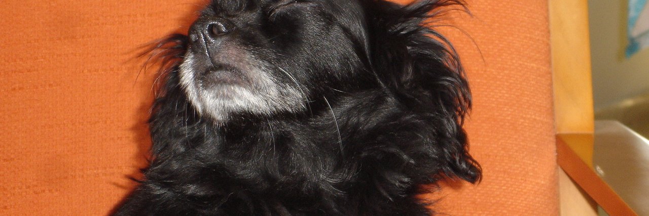 blackmulet's profile banner image