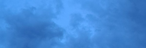 raitoxv Profile Banner