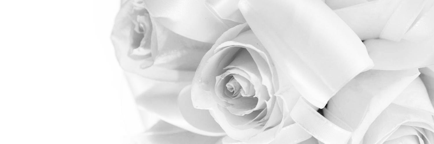 AyaAker's profile banner image