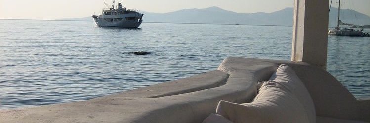 رفا مبارك 🥦 banner