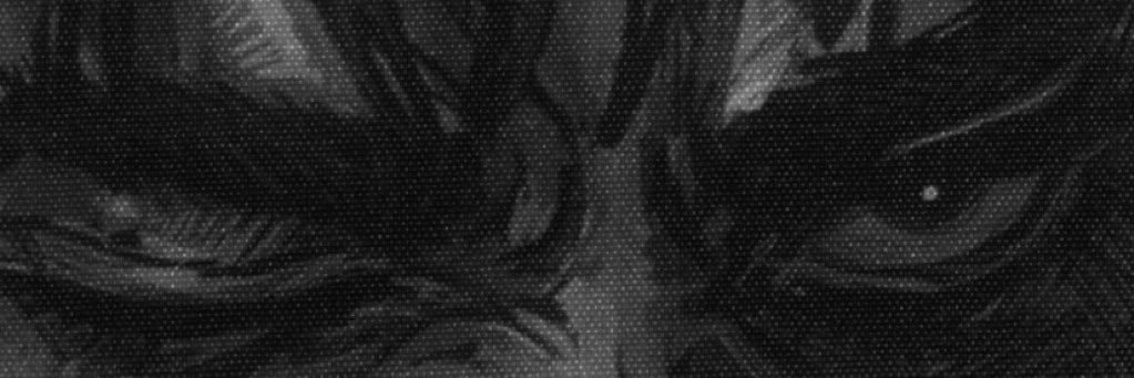 Prizful's profile banner image
