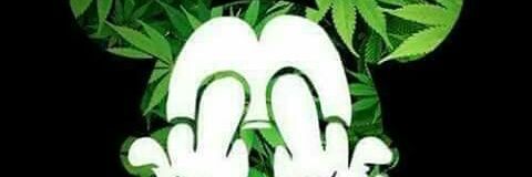 Emiliapascual4's profile banner image