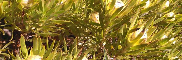 MathsTeachSolns Profile Banner