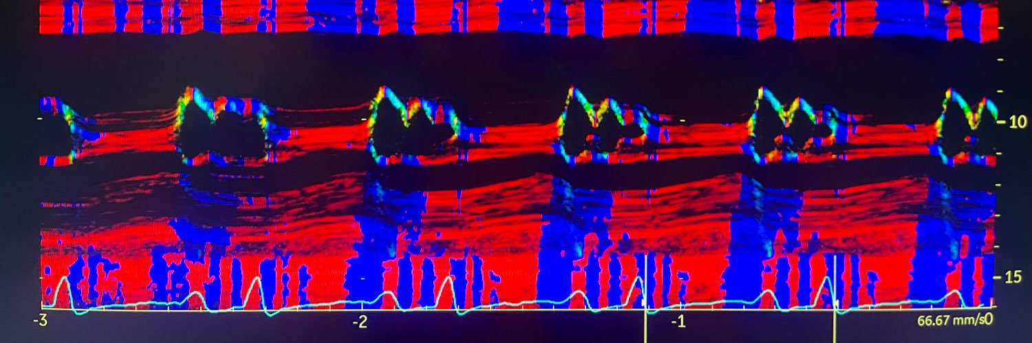 aleguzmana's profile banner image
