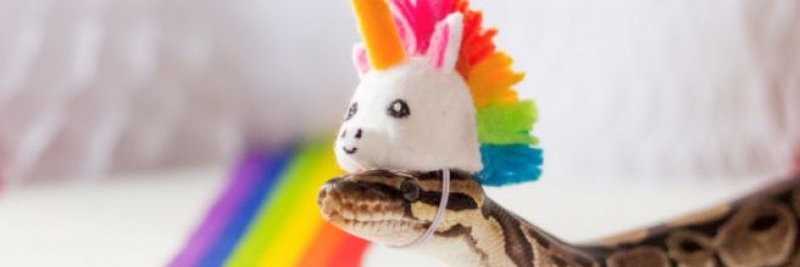 Melderomeer's profile banner image