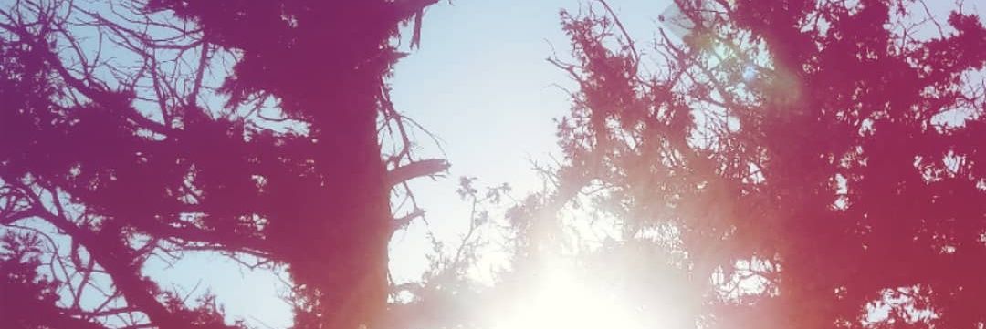 janejerene's profile banner image