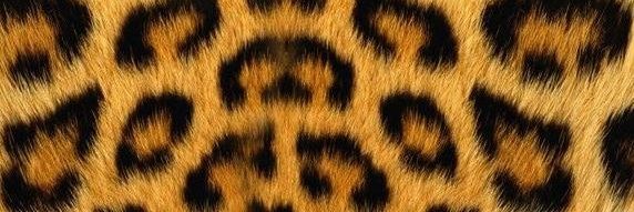 summmskiii's profile banner image