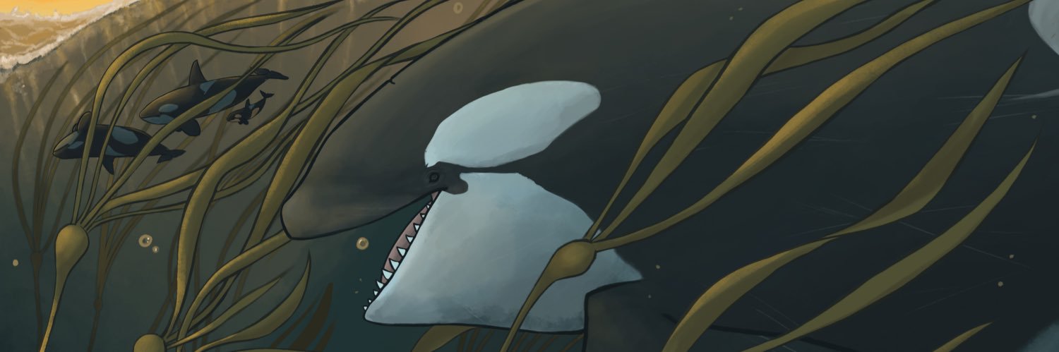 DESPOINA 🌖 banner